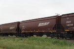 BNSF 491170